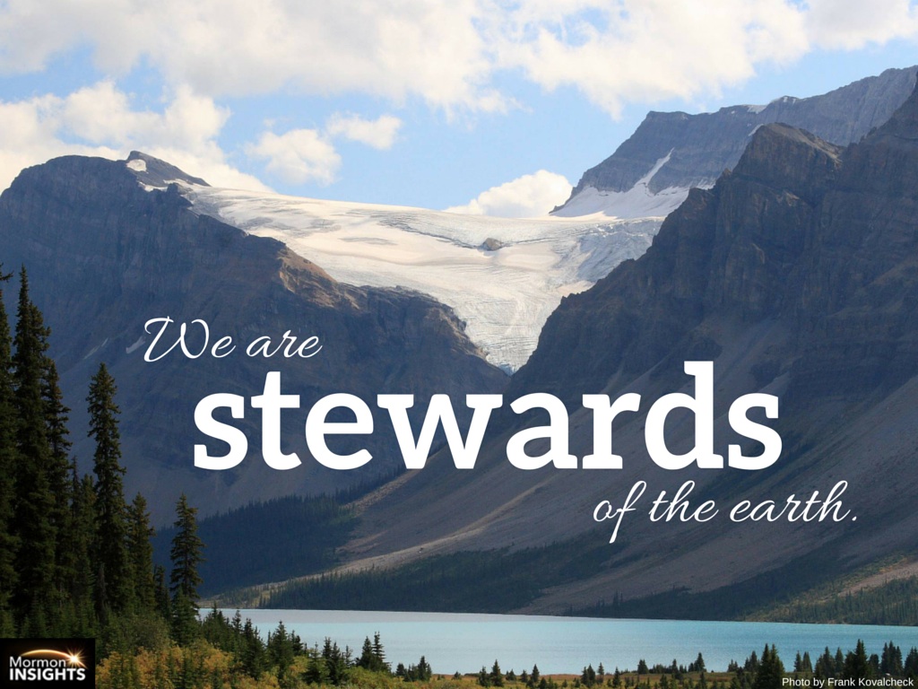 We are stewards of the earth.