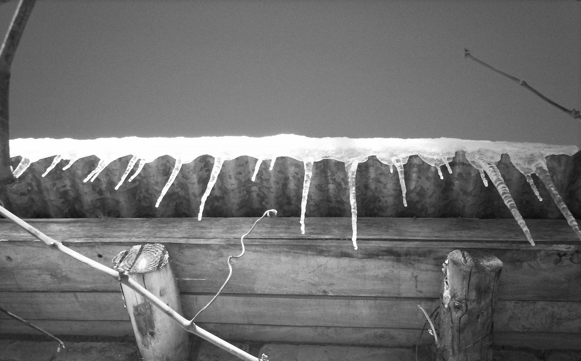 icicles on a wooden beam