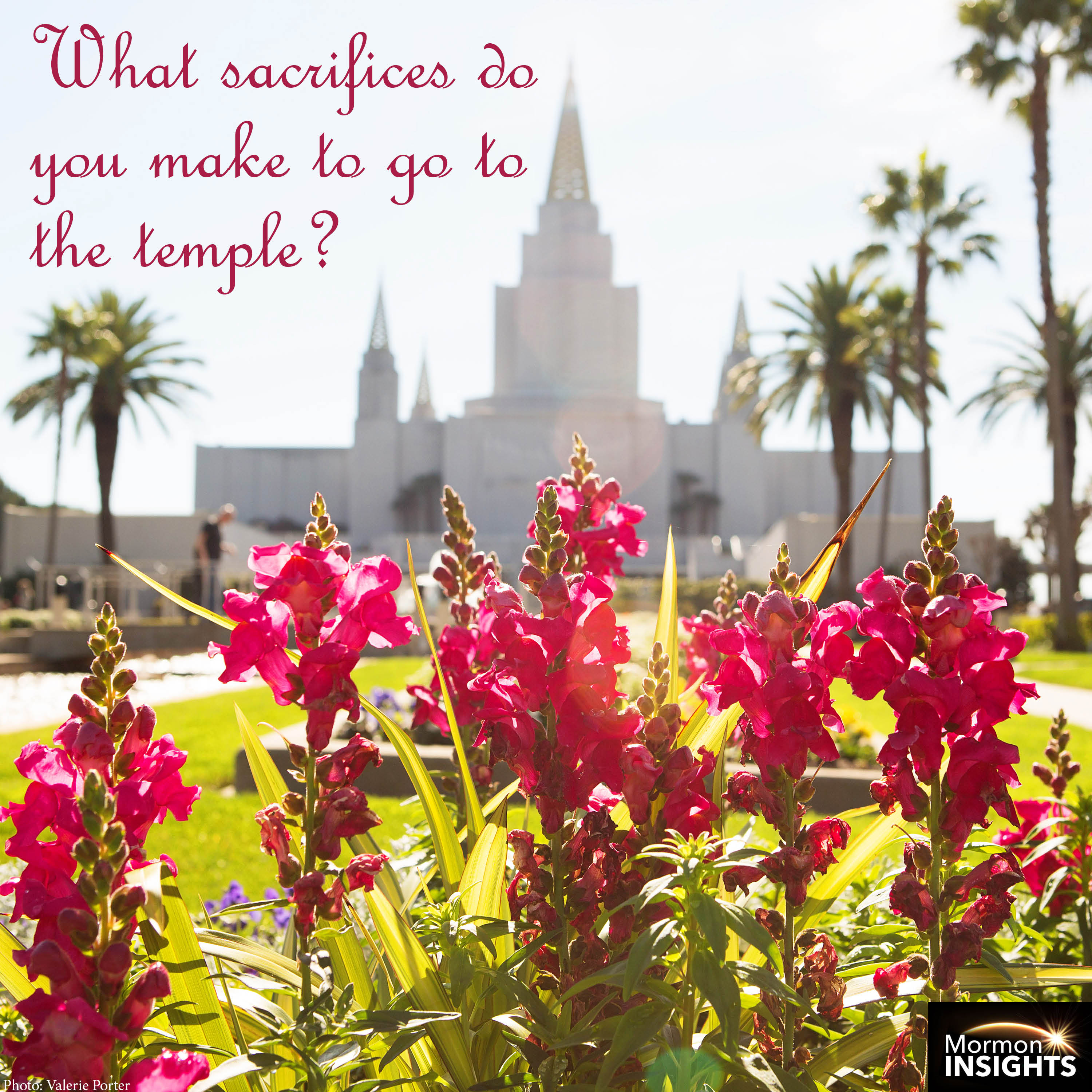 "What sacrifices do you make to go to the temple?" flowers with LDS temple in the background.