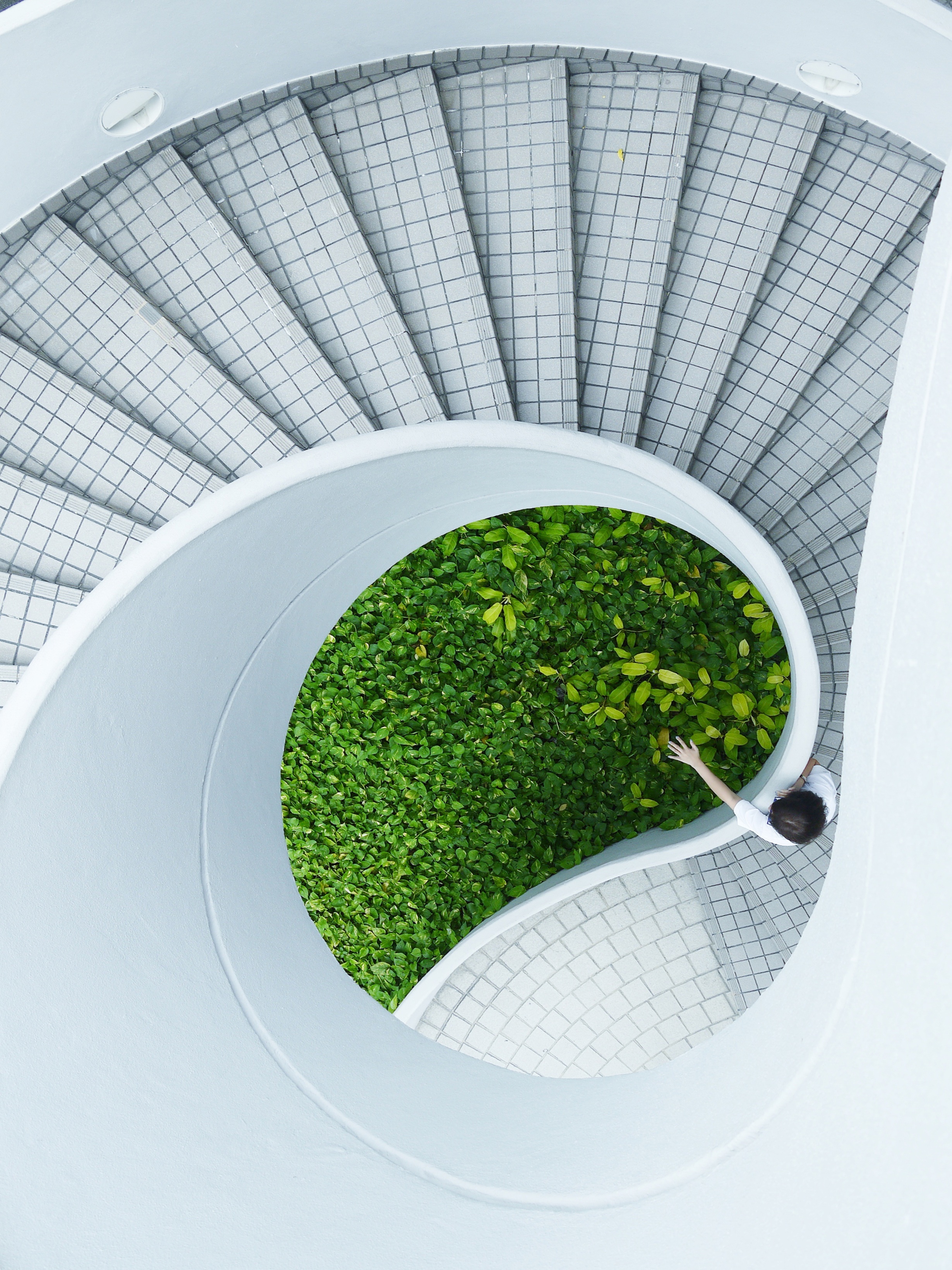 A person touches green plants at the center of a white spiral staircase