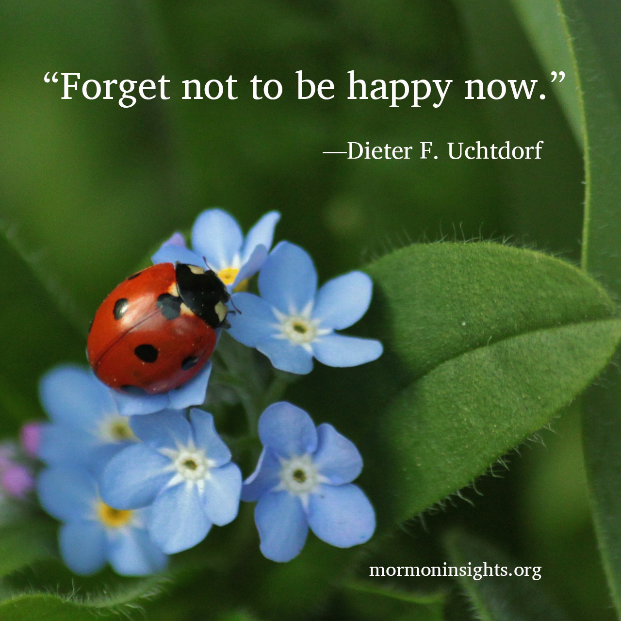 "Forget not to be happy now." —Dieter F. Uchtdorf