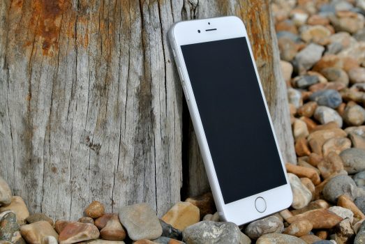 an iPhone rests against a tree