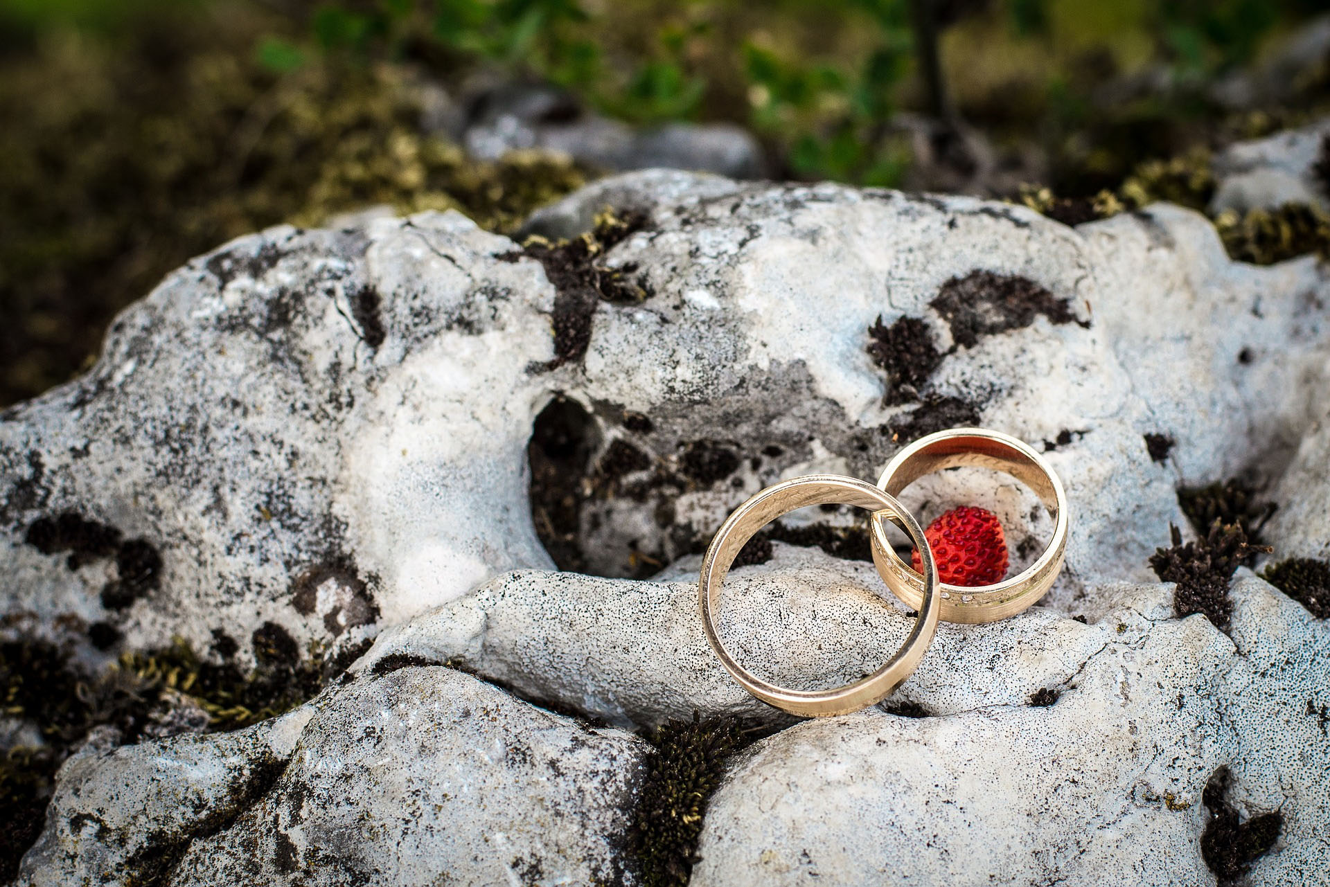 Picture of two wedding rings on a rock
