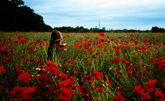 child in a field of red flowers