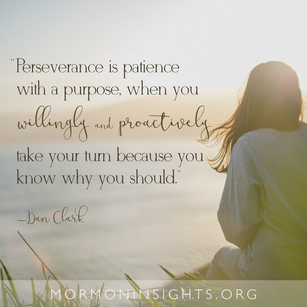 Perseverance is patience with a purpose, when you willingly and proactively take your turn because you know why you should. --Dan Clark