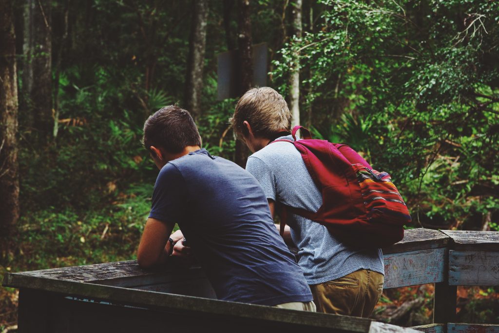 two boys overlooking the forest