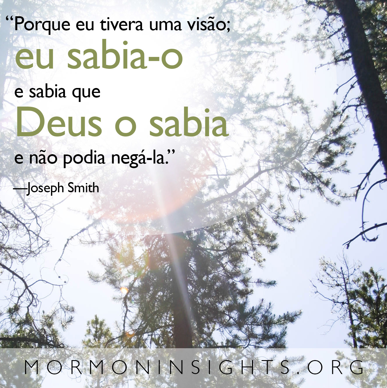 "“Porque eu tivera uma visão; eu sabia-o e sabia que Deus o sabia e não podia negá-la.” —Joseph Smith "