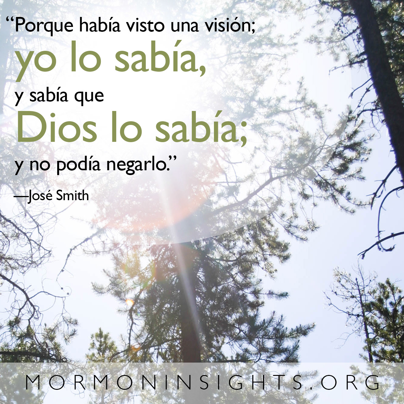 "“Porque había visto una visión; yo lo sabía, y sabía que Dios lo sabía; y no podía negarlo.” —José Smith "