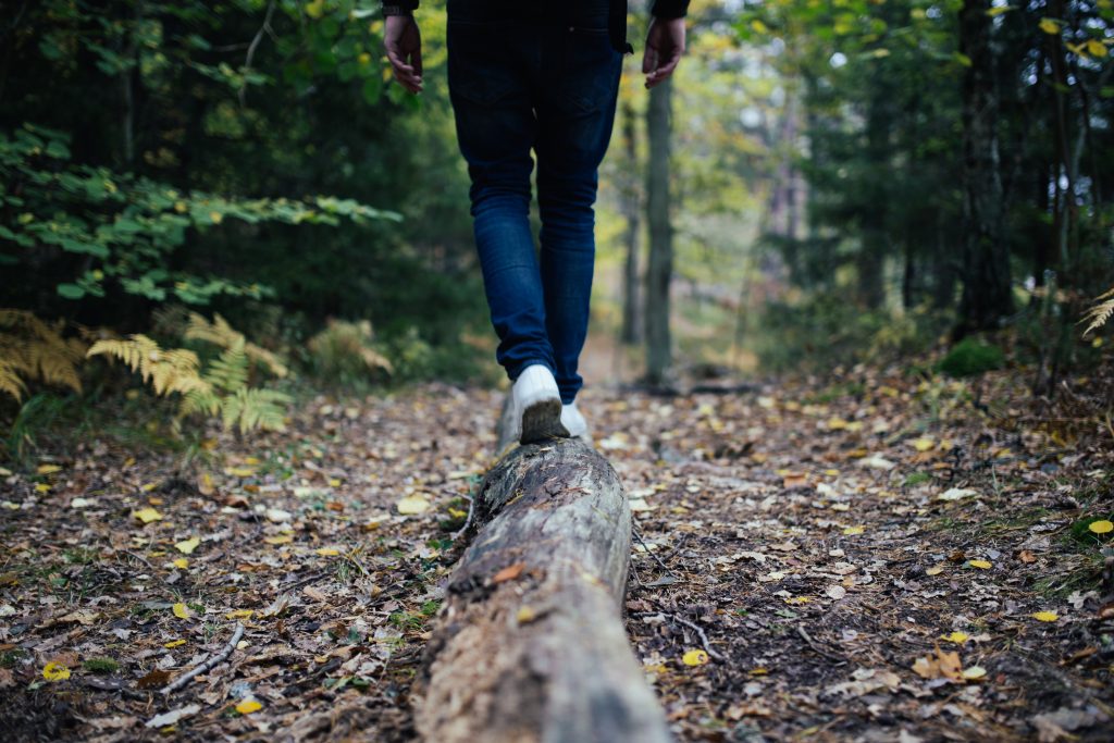 person walking on a log in the forest.