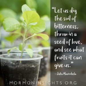 "Let us dig the soil of bitterness, throw in a seed of love, and see what fruits it can give us." -Julia Mavimbela. plant.