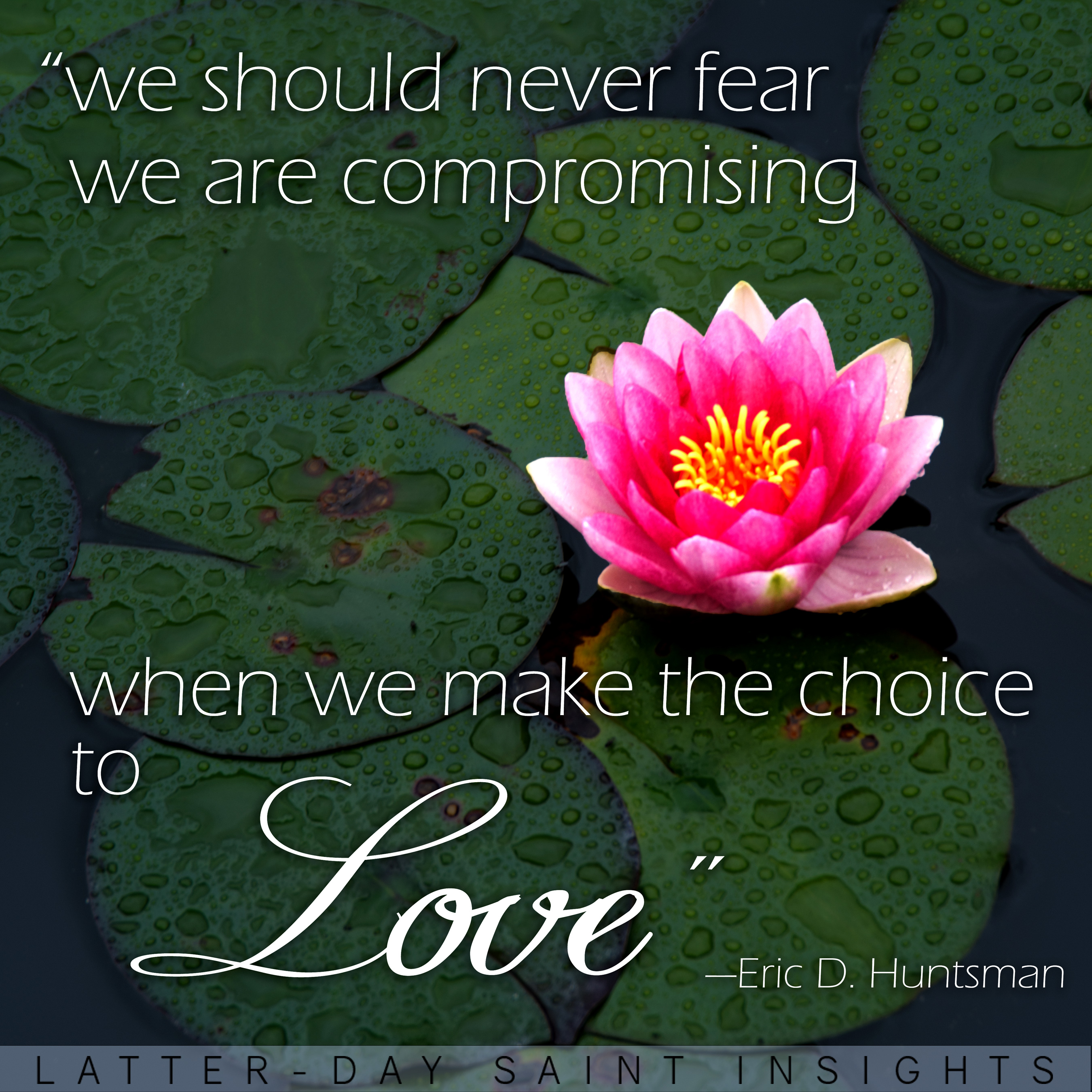 A flower and lily pads on top of dark water with Eric D. Huntsman's quote that says, "We Should never fear we are compromising when we make the choice to love."
