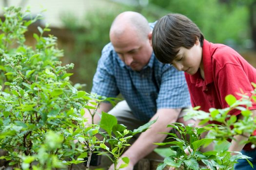 A father and son kneel next to each other as they work in the garden.