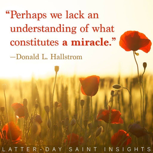 Poppy field in front of a sunset with the quote, "Perhaps we lack an understanding of what constitutes a miracle." by Donald L. Hallstrom