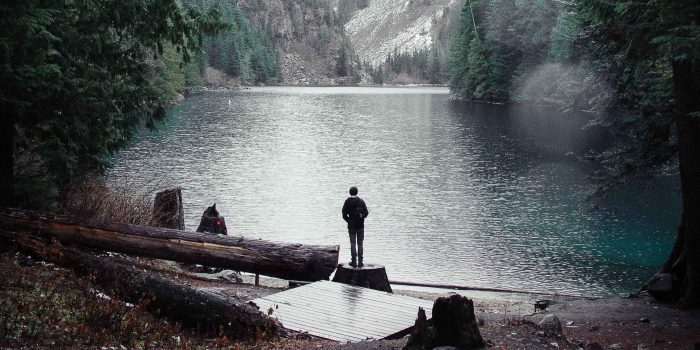Man Standing on Wood Near Mountain Range