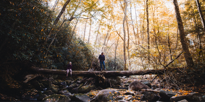 Two people sitting on a fallen log in a forest