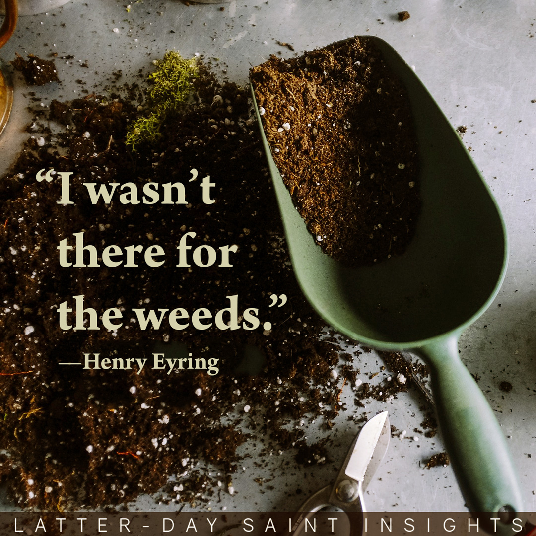 "I wasn't there for the weeds." —Henry Eyring