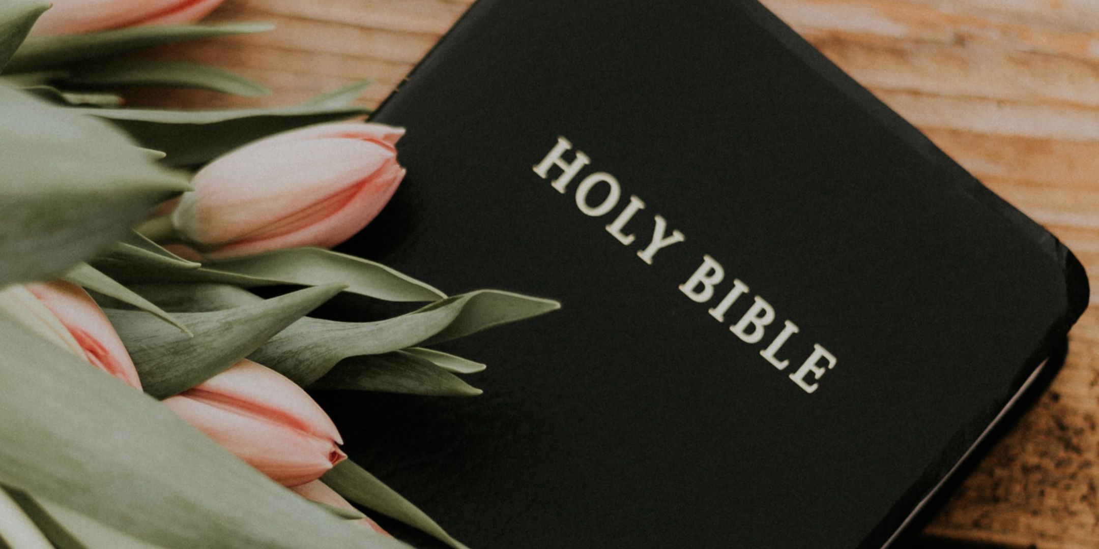 Bible with pink tulips