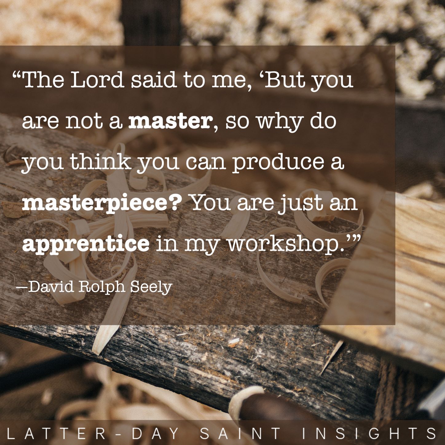 "The Lord said to me, 'But you are not a master, so why do you think you can produce a masterpiece? You are just an apprentice in my workshop.'" - David Rolph Seely