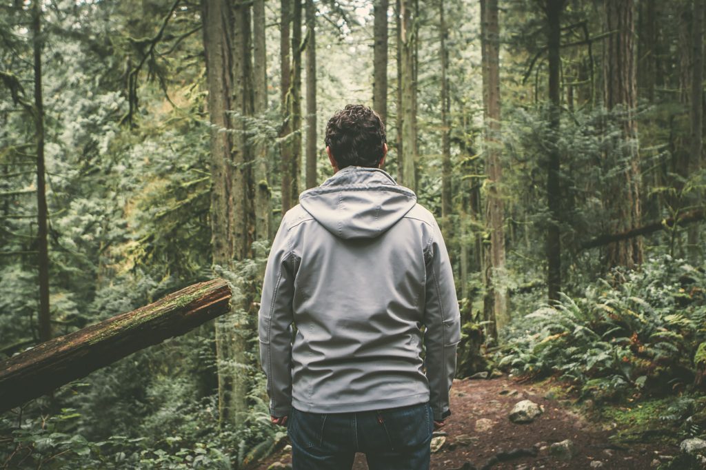 A man in a gray sweatshirt faces a forest full of green trees
