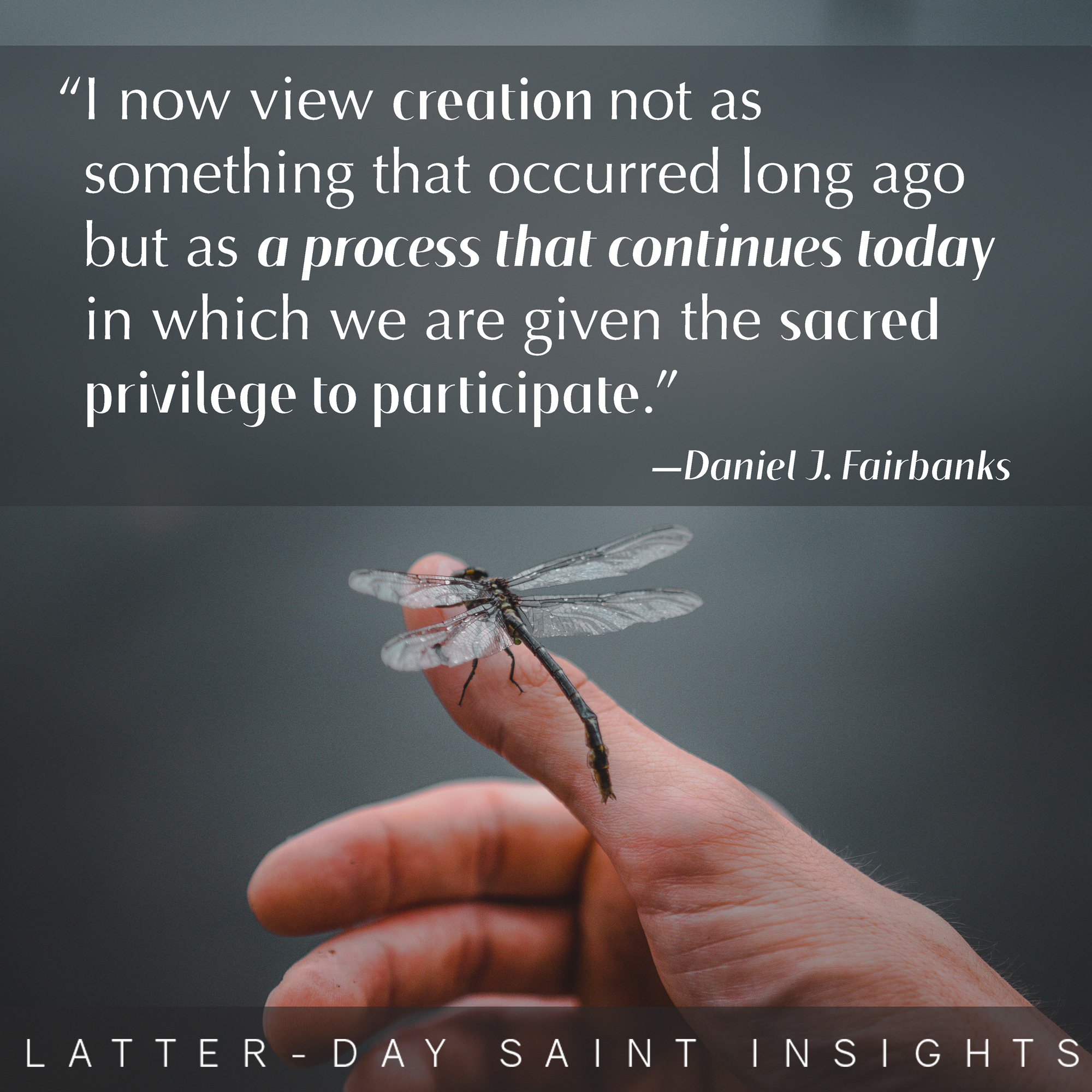 I now view creation not as something that occurred long ago but as a process that continues today in which we are given the sacred privilege to participate. –Daniel J. Fairbanks