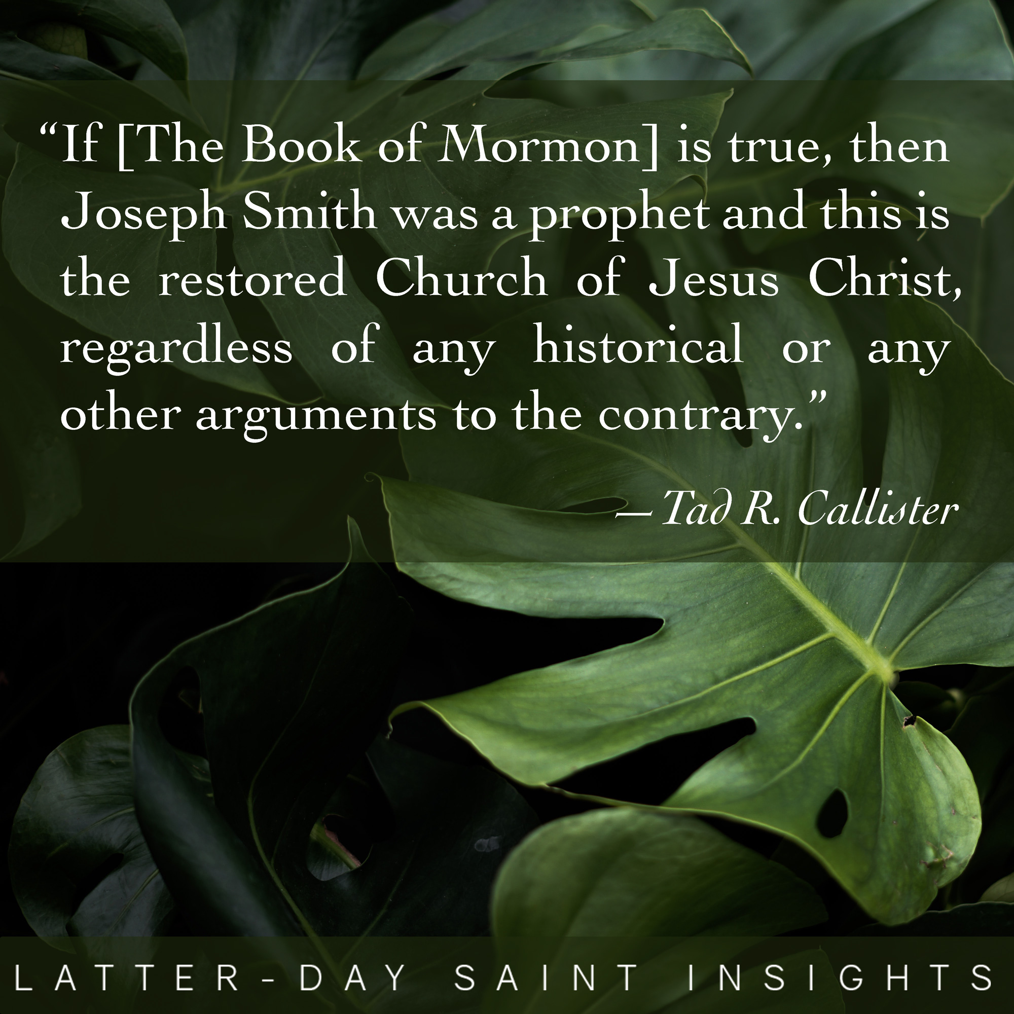 The Book of Mormon] is true, then Joseph Smith was a prophet and this is the restored Church of Jesus Christ, regardless of any historical or any other arguments to the contrary. -Tad R. Callister