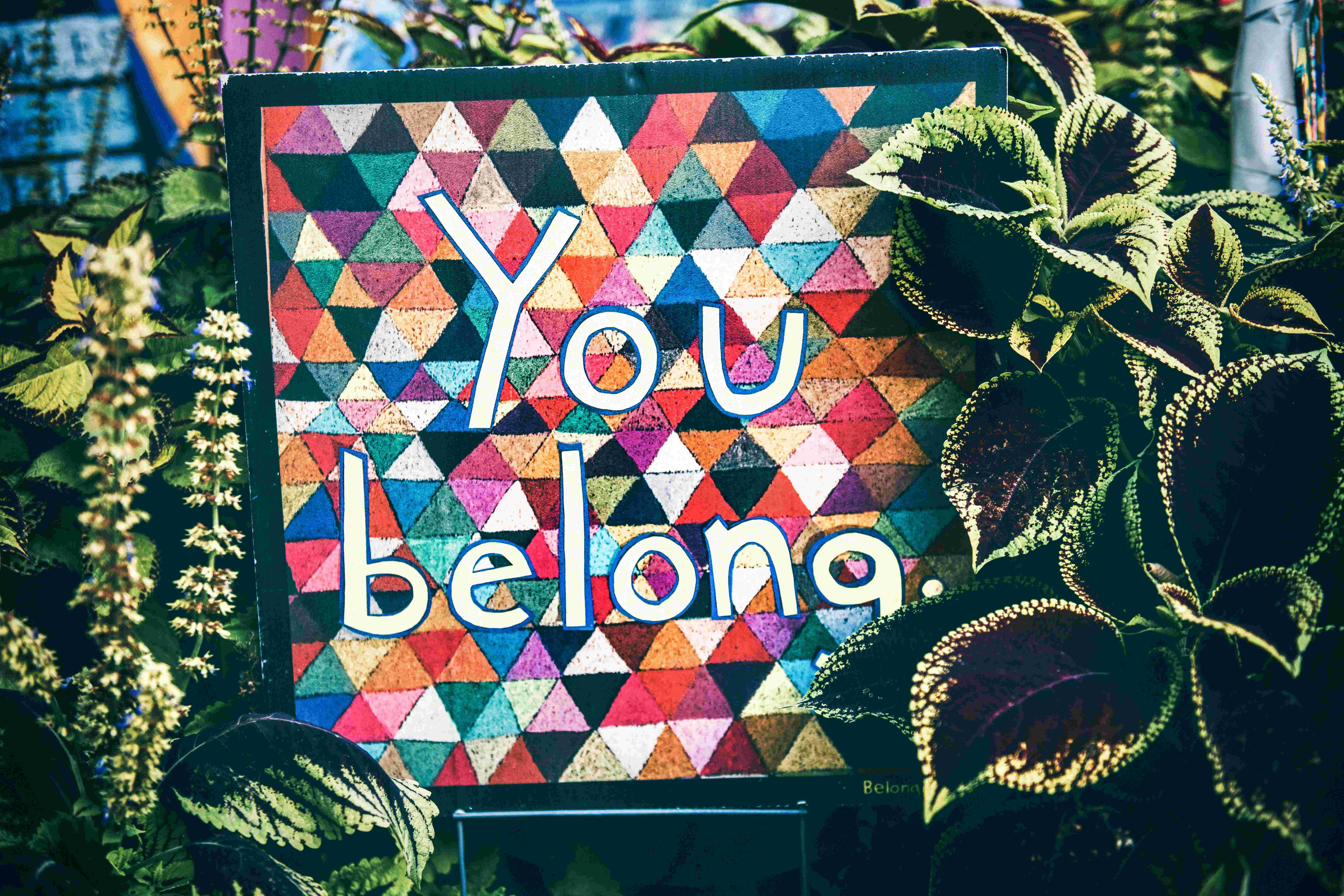 A colorful picture frame with the words “You Belong.” The frame is surrounded by big green leaves.