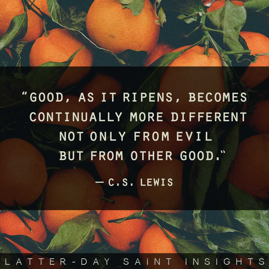 “Good, as it ripens, becomes continually more different not only from evil but from other good.” By C.S. Lewis