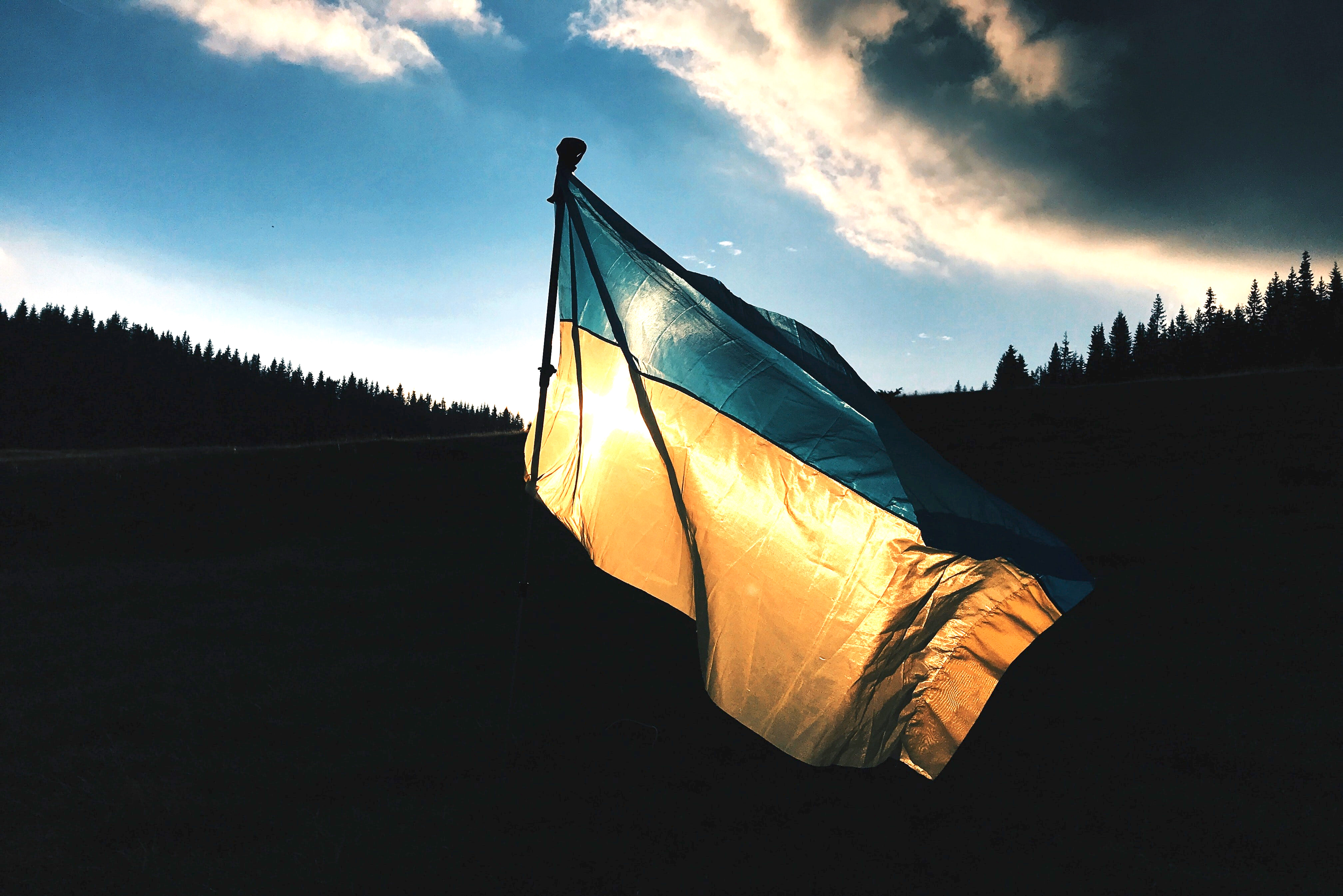 Ukrainian flag in front of dark forest and blue sky