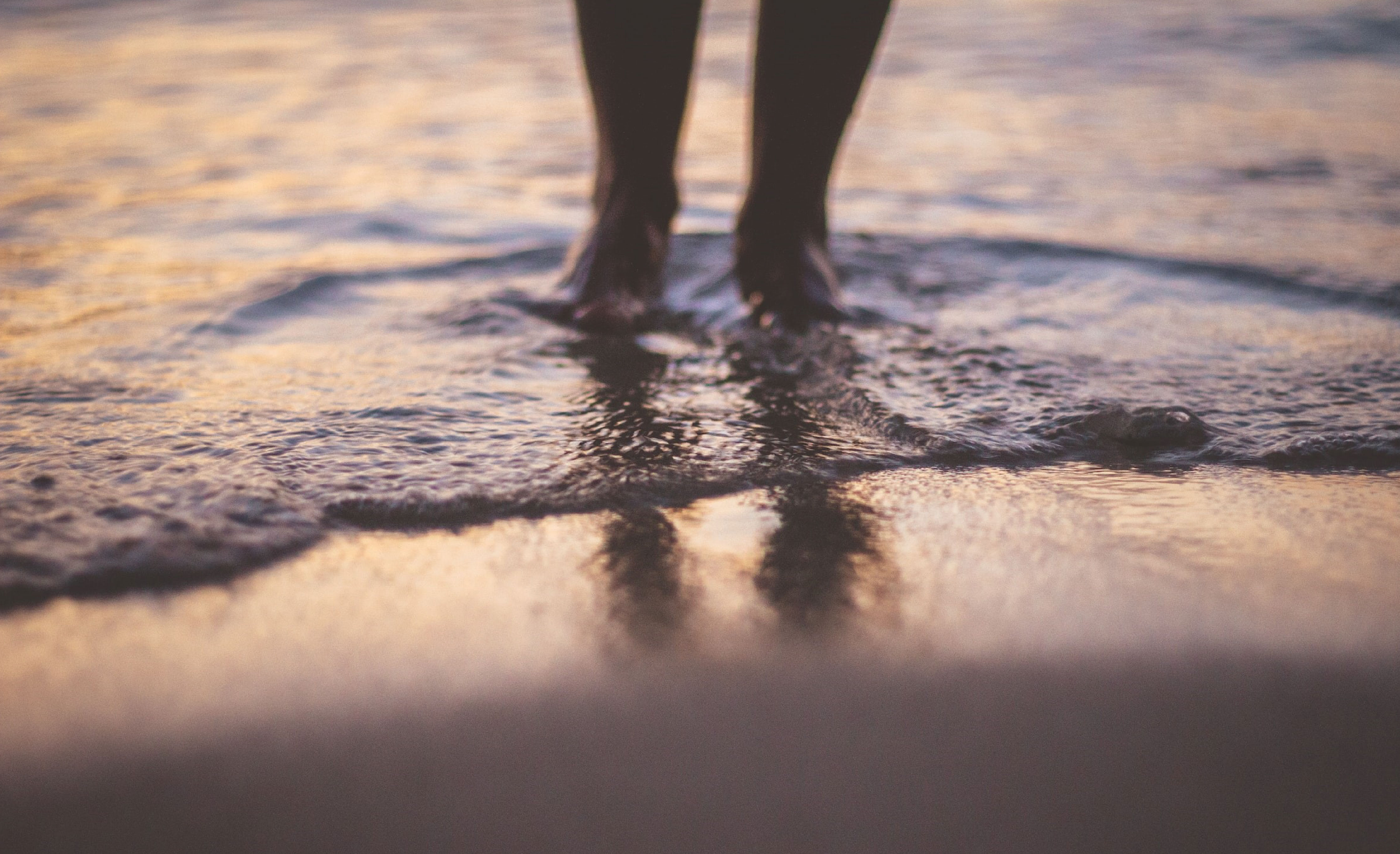 Getting Your Feet Wet The Faith To Act Latter day Saint Insights