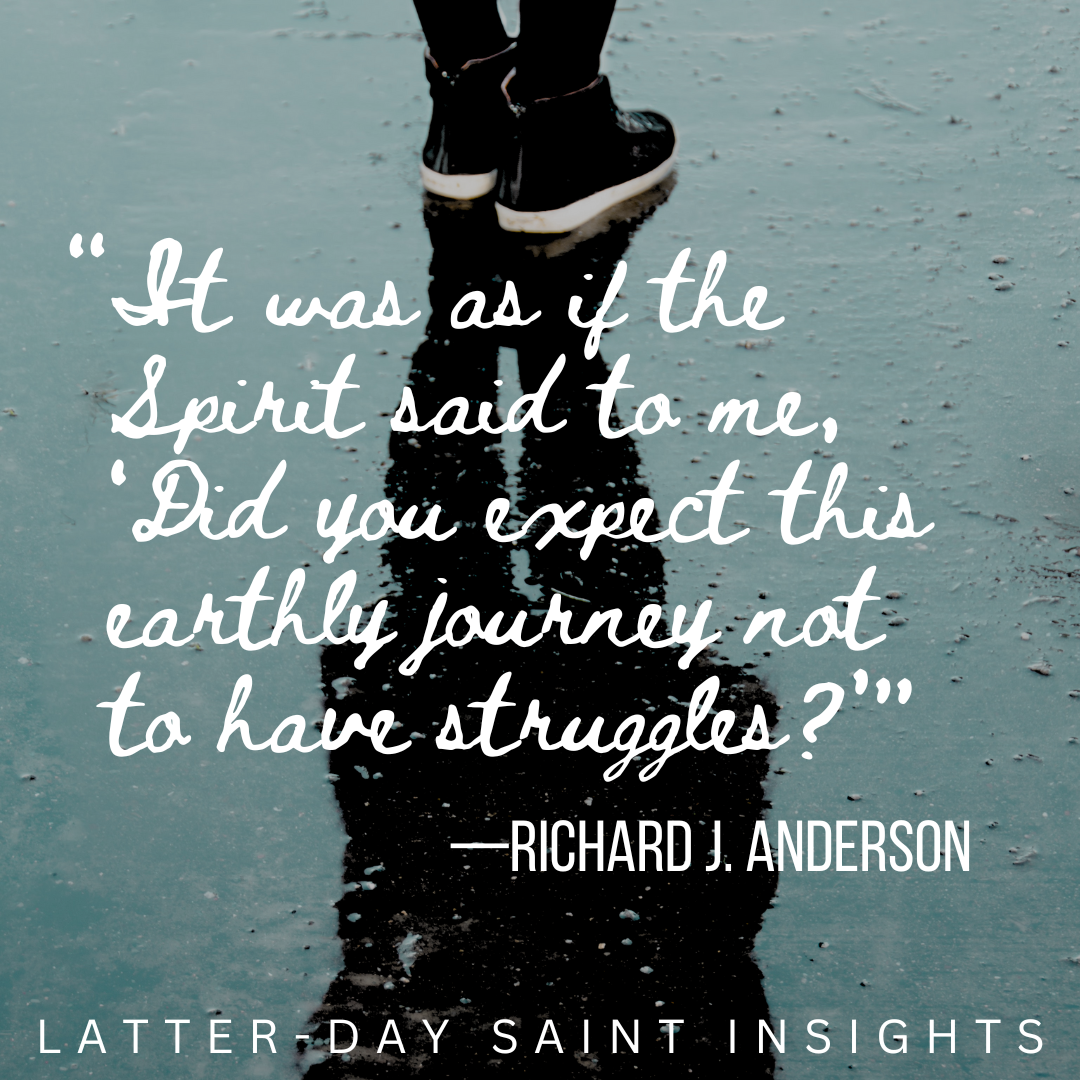 Someone standing in a puddle. Quote: "It was as if the Spirit said to me, 'Did you expect this earthly journey not to have struggles?'" --Richard J. Anderson