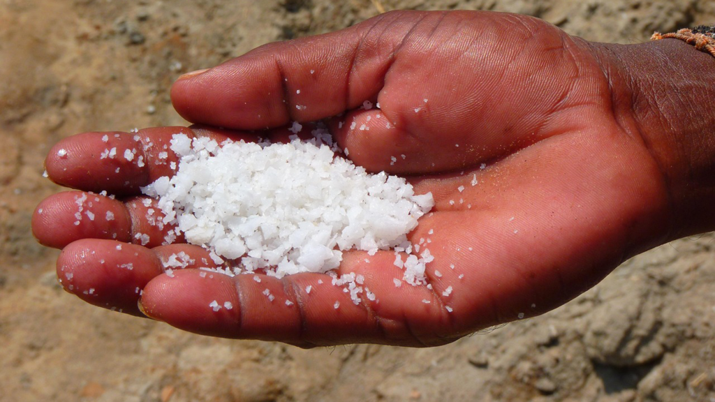 A hand holding a handful of white salt.